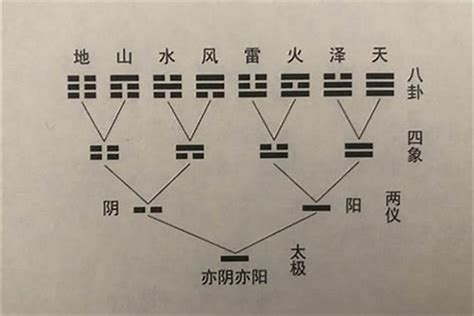 动爻怎么看|六爻动爻和变爻是什么意思 六爻动爻变爻详解